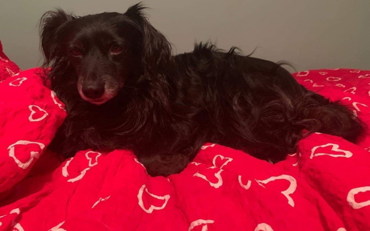 Zbiórka Życie z padaczką - zdjęcie główne