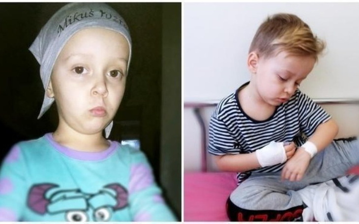 Zbiórka Nowotwór w oczku Mikołaja - zdjęcie główne