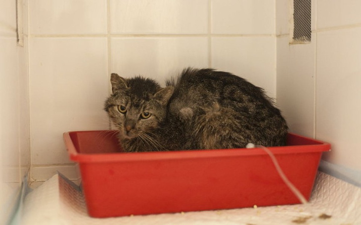 Zbiórka Brudny Franio - zdjęcie główne