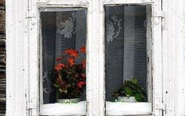 Zbiórka Na zamówienie okien - zdjęcie główne