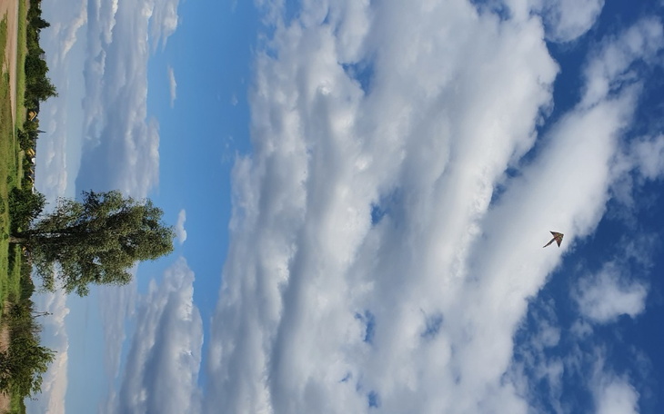 Zbiórka Lepszy Start w Przyszłość - zdjęcie główne