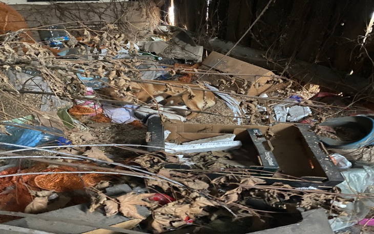 Zbiórka Sunia i 7 dzieci błaga o pomoc - zdjęcie główne