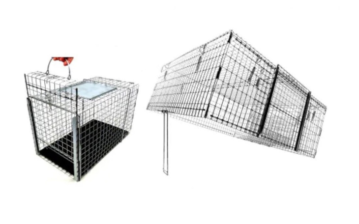 Klatka do łapania zwierząt, wykonana z siatki.