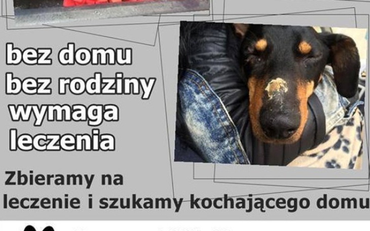 Zbiórka Ofiara pożaru - Murzynek :( - zdjęcie główne
