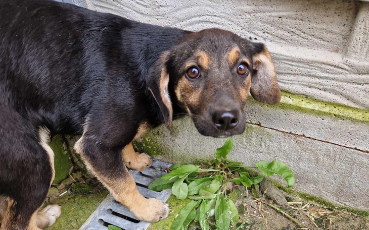 Zbiórka Walka prawna z urzędem gminy - zdjęcie główne