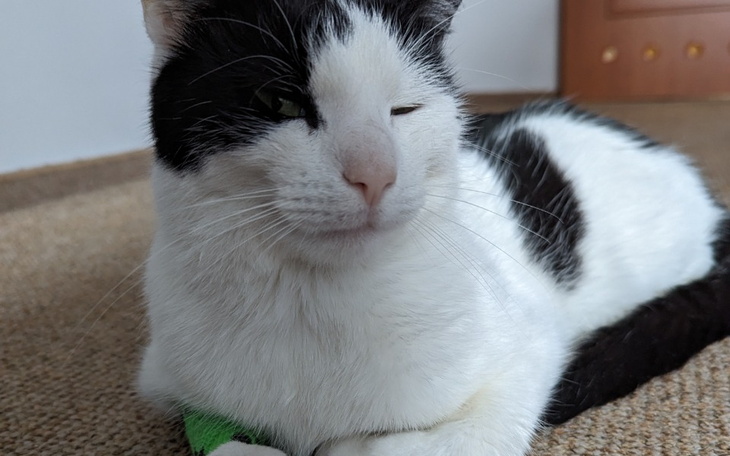 Zbiórka Ratunek dla Bońka - zdjęcie główne