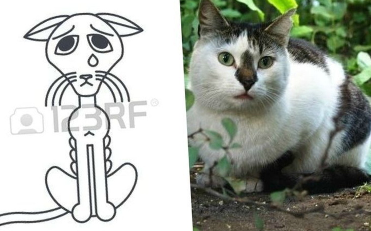 Rysunek smutnego kota obok prawdziwego kota w ogrodzie.