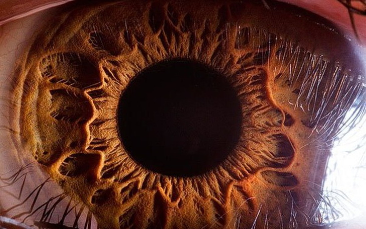 Zbiórka Oczy zwierciadlo duszy - zdjęcie główne