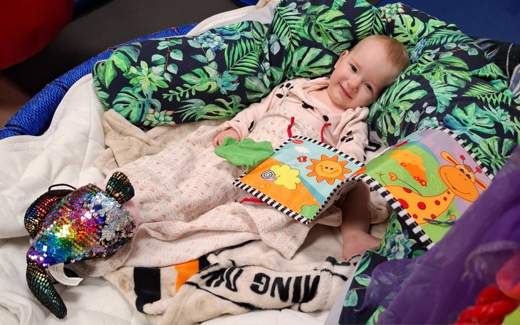 Koty w schronisku, czekają na adopcję.