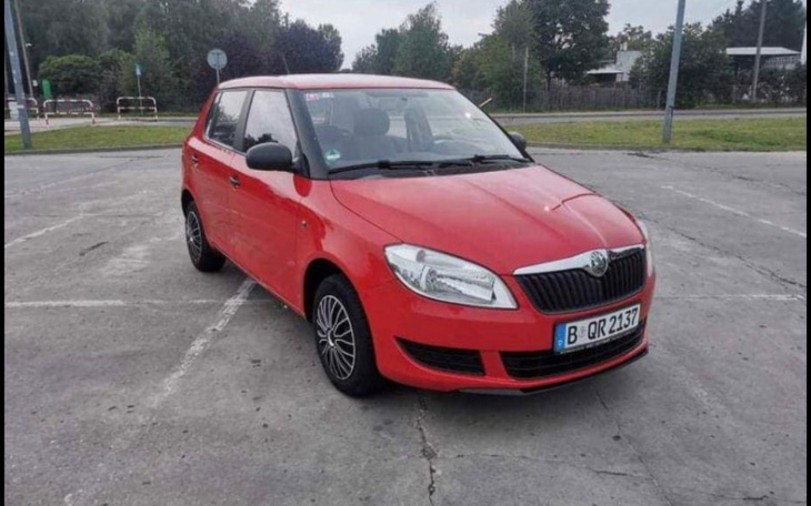 Zbiórka Dzika bryka - zdjęcie główne