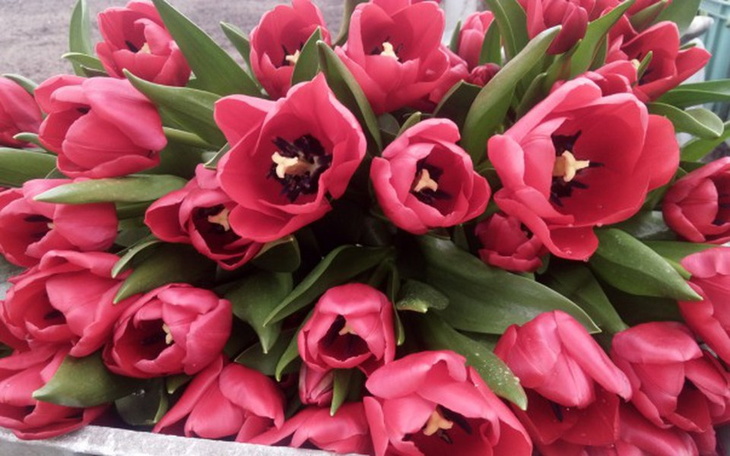 Zbiórka Nowy aparat foto - zdjęcie główne