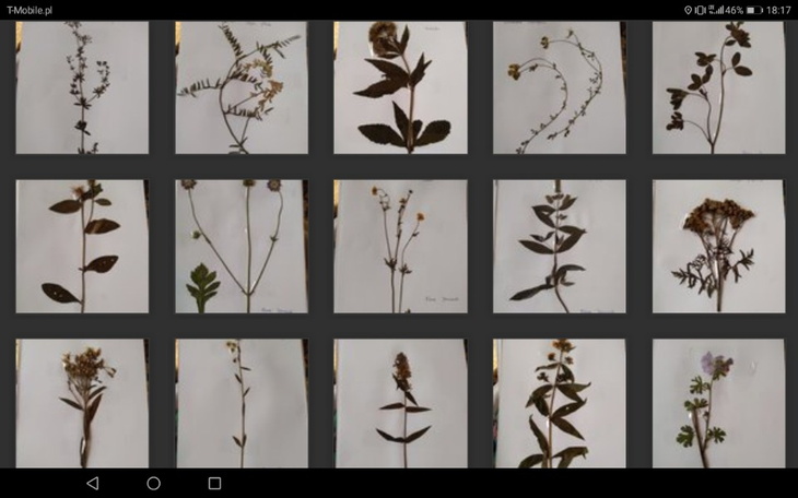 Zbiórka Otwarcie muzeum zielarskiego - zdjęcie główne