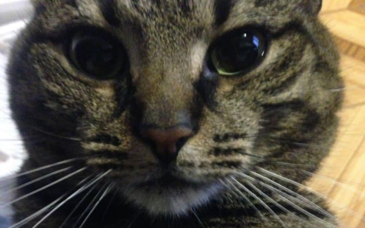 Zbiórka Badania na zdrówko - zdjęcie główne