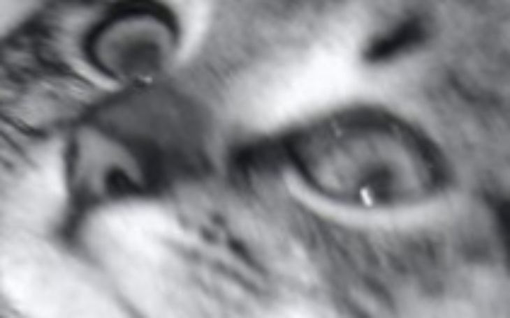 Zbiórka Na szczęśliwą przyszłość.. - zdjęcie główne