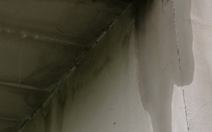 Zbiórka Oszukana przez firmę budowlana - zdjęcie główne