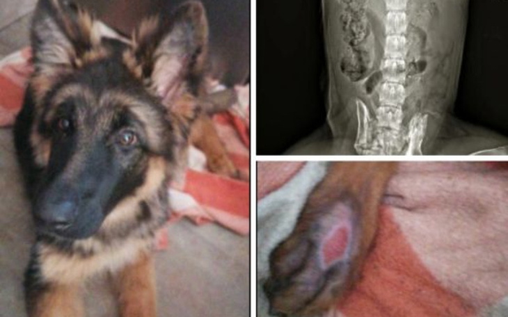 Zbiórka Przejechali po mnie autem. - zdjęcie główne