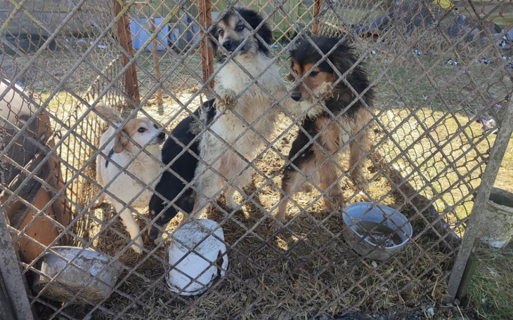 Zbiórka One tam jedzą co 4-5 dni - zdjęcie główne