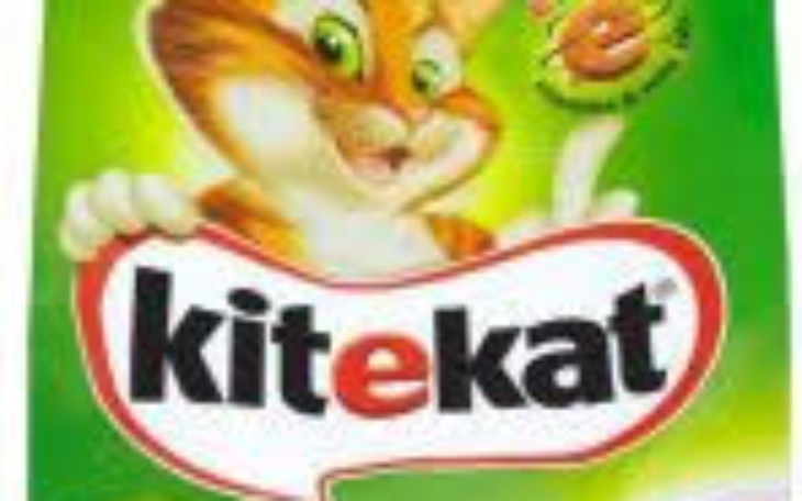 Zbiórka Karma dla kota - zdjęcie główne