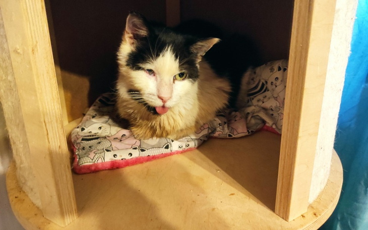 Zbiórka Nowy Rok, stare długi - zdjęcie główne