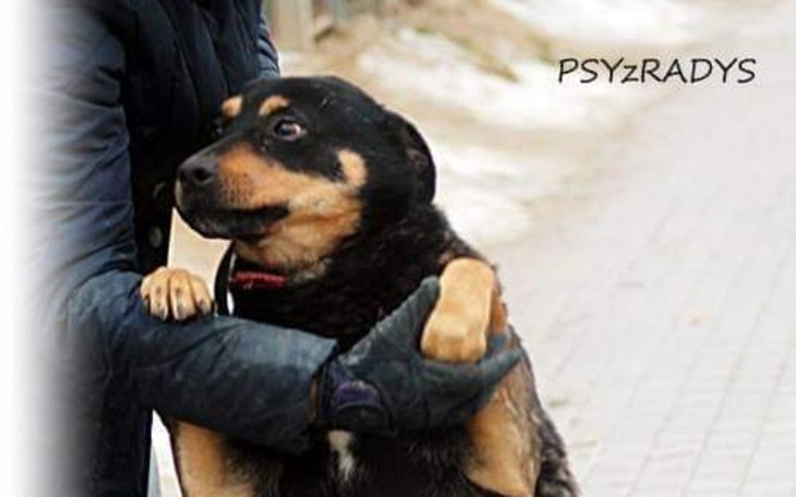 Zbiórka Rumor z Radys zbiera na wyjazd - zdjęcie główne