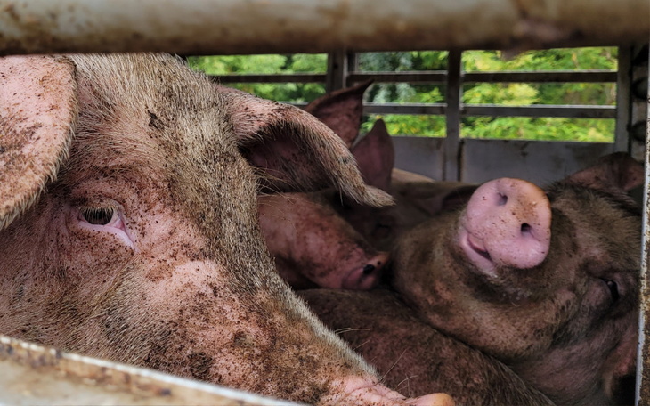 Zbiórka Pomoc prawna - stopklatka 2024 - zdjęcie główne