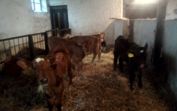 Zbiórka Ukryte marzenia i zycie - zdjęcie główne