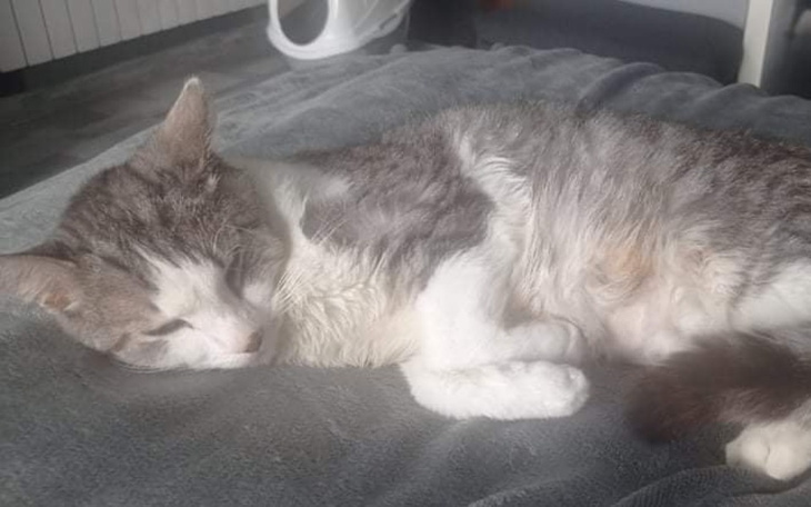 Zbiórka Pragnę żyć, Pomóż mi walczyć. - zdjęcie główne