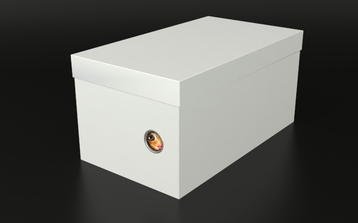 Zbiórka test10 - zdjęcie główne