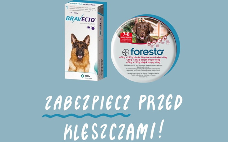 Zbiórka Zabezpiecz nas przed kleszczami - zdjęcie główne