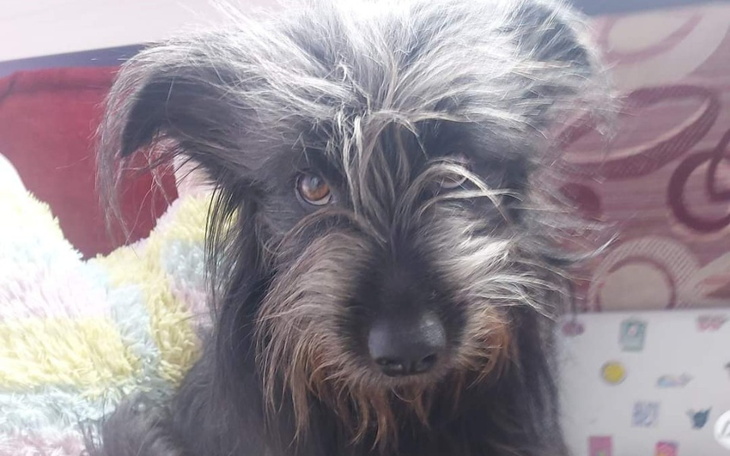 Zbiórka Będziesz żył Pomoc n - zdjęcie główne