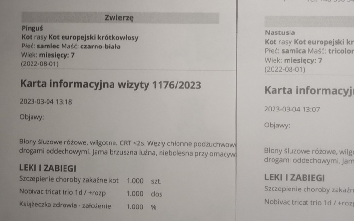 Zbiórka Leśne podrzutki z Lasu Kabackieg - zdjęcie główne