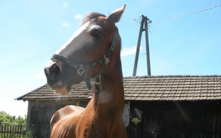 Zbiórka Po prostu Matka - zdjęcie główne