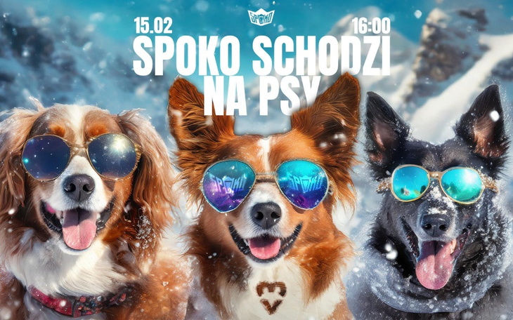 Trzy psy w okularach przeciwsłonecznych, pozujące w zimowej scenerii.