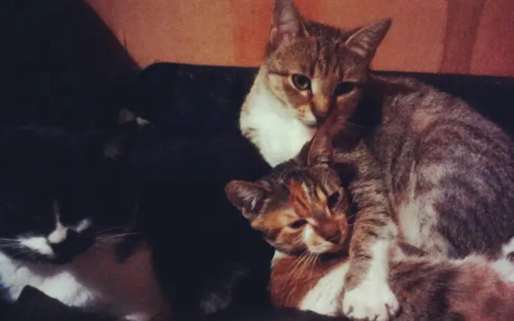 Zbiórka Walka o inne lepsze życie - zdjęcie główne