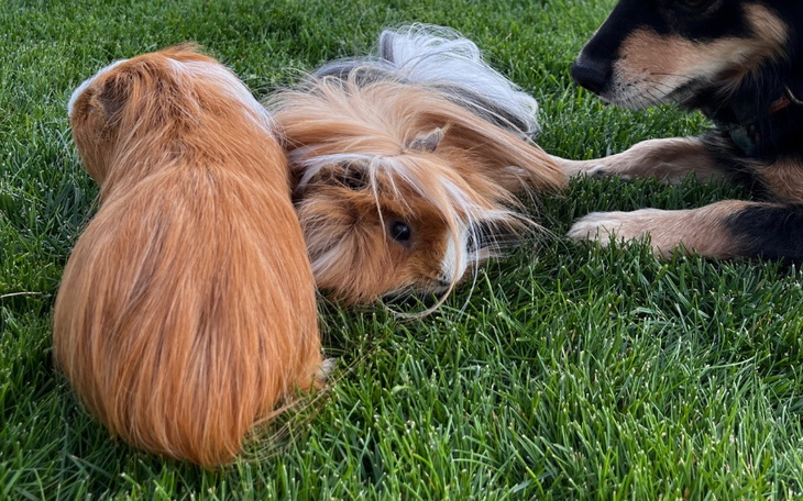 Zbiórka Nowe życie Bewleya i Freaka - zdjęcie główne