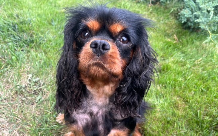 Zbiórka Wygramy walkę z nowotworem Lucy - zdjęcie główne