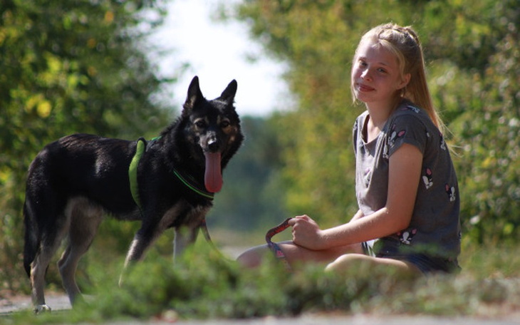 Zbiórka Operacja łapki marzeniem Parysa - zdjęcie główne