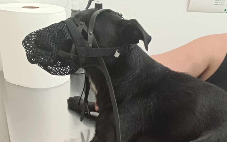 Zbiórka Rachunek pozostał. - zdjęcie główne