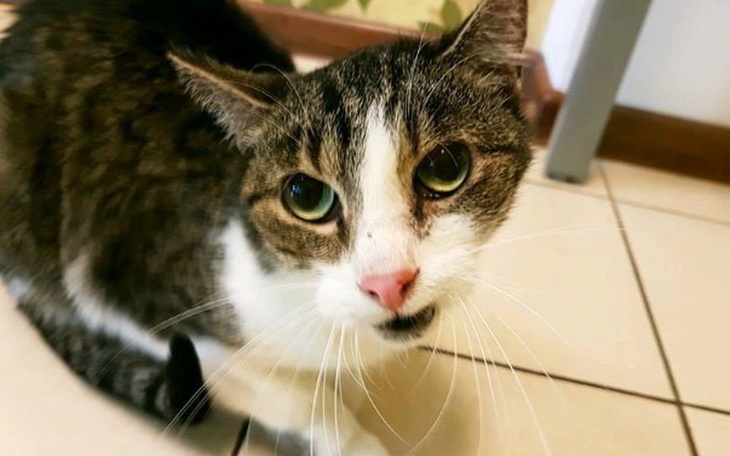 Zbiórka Diuna nagle zachorowała! - zdjęcie główne