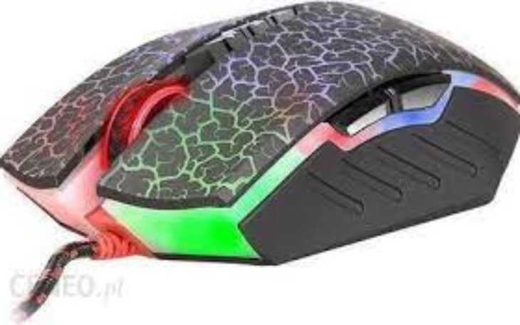 Zbiórka Pomoc Dla Korny - zdjęcie główne