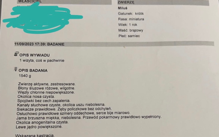 Zbiórka Zbieram na kastracje krolika - zdjęcie główne