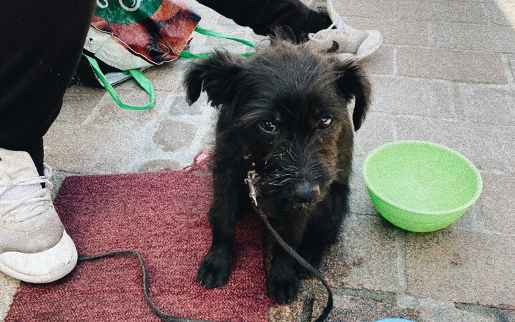 Zbiórka NA START, do nowego życia - zdjęcie główne