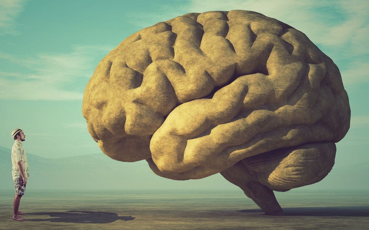 Zbiórka Wydanie książki Skasowany Mózg - zdjęcie główne