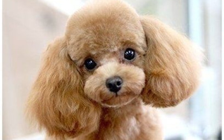 Zbiórka Zbieram na przyjaciela rodziny - zdjęcie główne