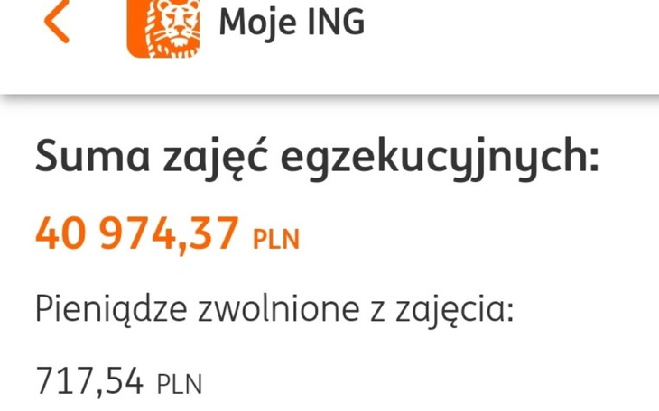Zbiórka Pomoc finansowa splata długów - zdjęcie główne