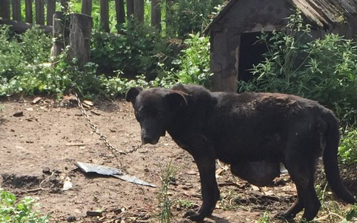 Zbiórka Sara czy guz? Nie bombie śmierci - zdjęcie główne