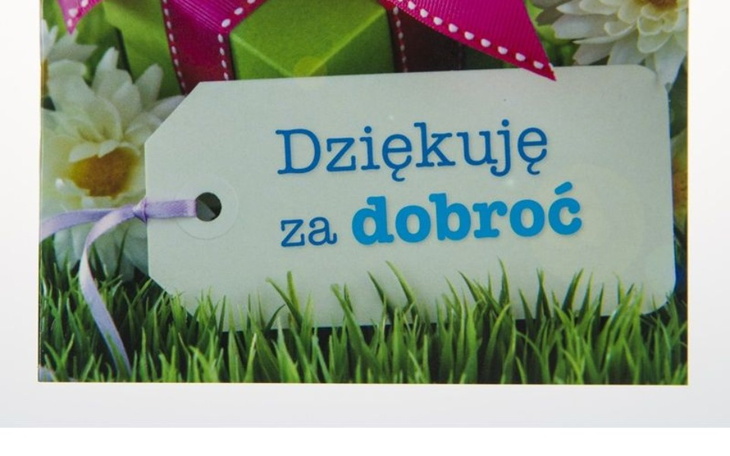 Zbiórka cztery psy potrzebują wsparcia - zdjęcie główne