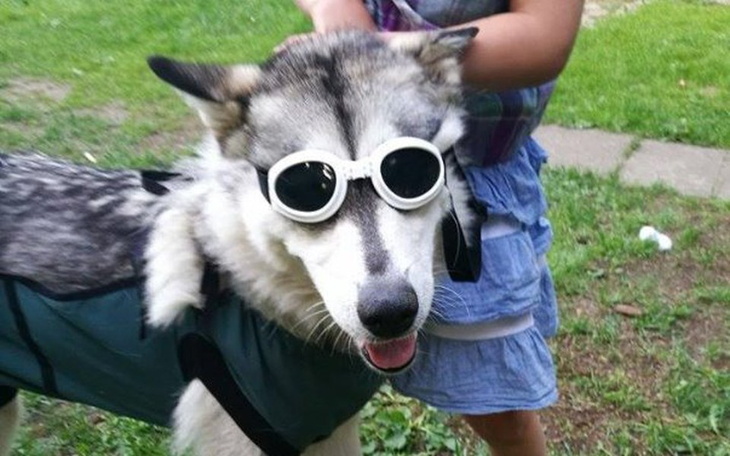 Zbiórka Dla niewidomej Tulisi - zdjęcie główne