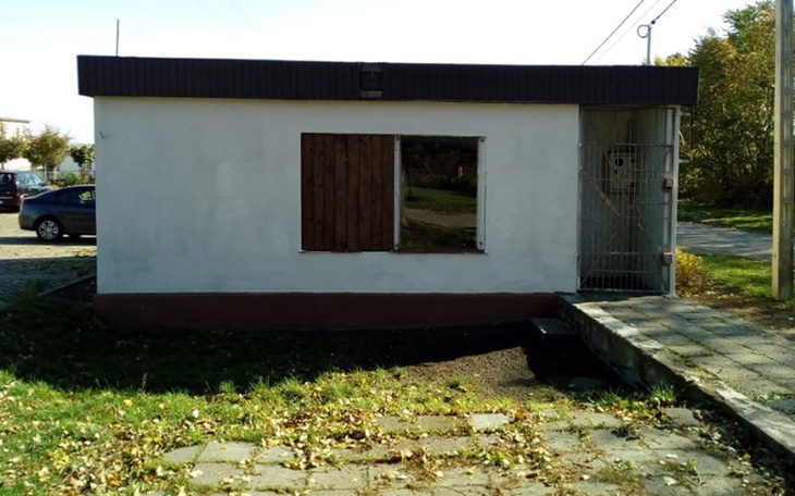 Zbiórka Na wyposażenie kociarni - zdjęcie główne