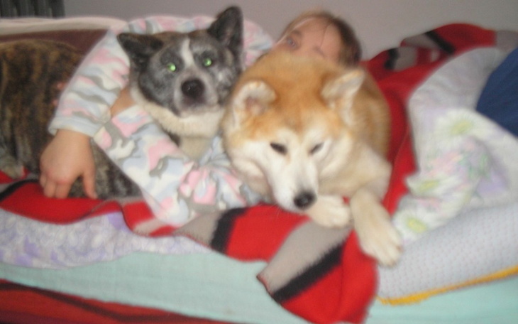 Zbiórka Na sterylizacja dwóch suczek - zdjęcie główne